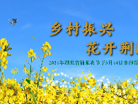乡村振兴，花开荆门