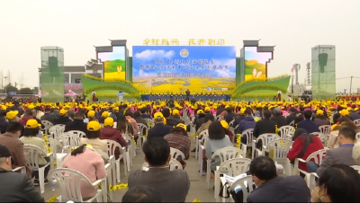 V视丨2021年湖北省油菜花节在沙洋开幕