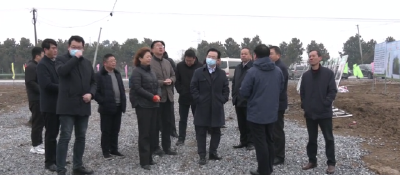V视丨李文震来沙调研城市建设和招商引资工作