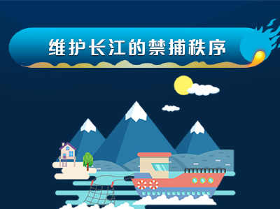 特别的法只为守护特别的“你”！