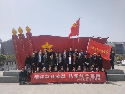 沙洋县医疗保障局：缅怀革命先烈 传承红色基因