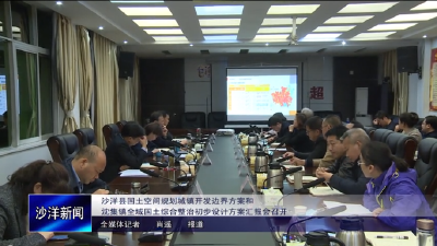 V视丨沙洋县国土空间规划城镇开发边界方案和沈集镇全域国土综合整治初步设计方案汇报会召开