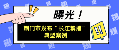曝光！荆门市发布“长江禁捕”典型案例