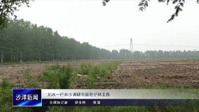 V视丨刘冰一行来沙调研农田防护林工作