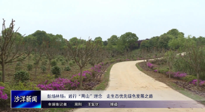 V视丨彭场林场：践行“两山”理念 走生态优先绿色发展之路