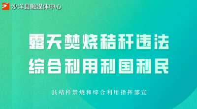 沙洋县自然资源和规划局：多措并举，全力做好秸秆禁烧工作