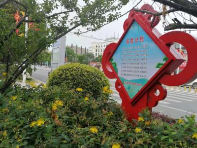 【图说沙洋】党史知识上街头，红色文化润心头