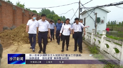 V视丨胡小国来沙调研汉江入河排污口整治工作强调：加快进度 强化监管 确保整治到位