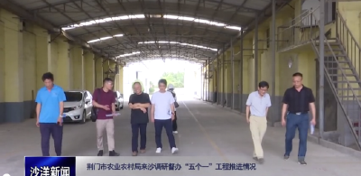 V视丨荆门市农业农村局来沙调研督办“五个一”工程推进情况