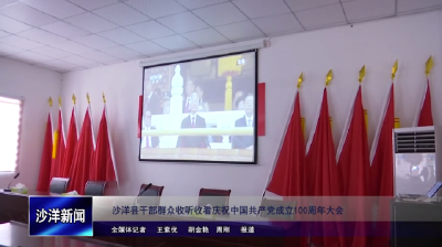 ​V视丨沙洋县干部群众收听收看庆祝中国共产党成立100周年大会直播