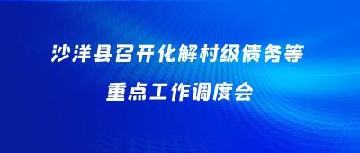 沙洋县召开化解村级债务等重点工作调度会