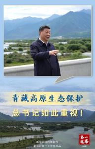 第一观察|青藏高原生态保护，总书记如此重视！