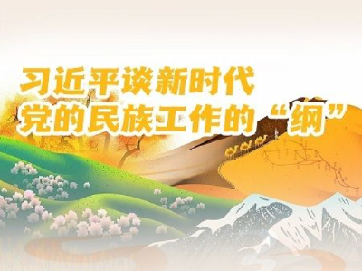 习近平谈新时代党的民族工作的“纲”