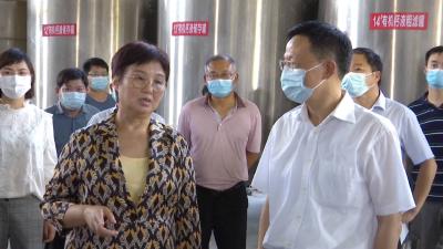 王玲在沙洋调研农业产业化发展情况时强调 培育壮大农业龙头企业 不断提升农业产业化水平