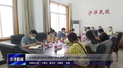 V视丨沙洋县组织收听收看荆门市未成年人保护工作领导小组第一次全体会议