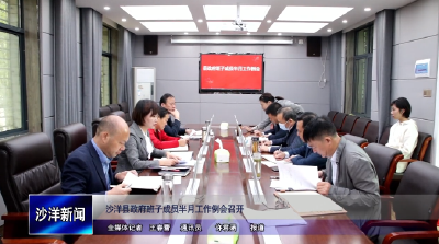 V视丨沙洋县政府班子成员半月工作例会召开