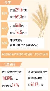 全国秋收进度已超八成 粮食生产将迎十八连丰