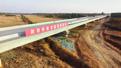 【图说沙洋】助力疫后重振，荆荆高铁建设忙