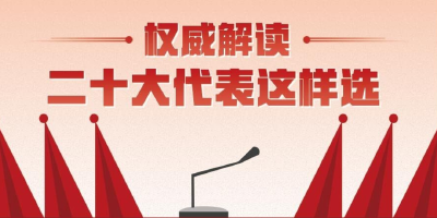 二十大代表这样选