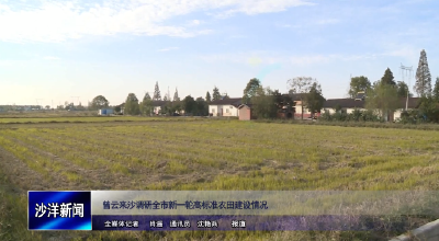 V视丨曾云来沙调研全市新一轮高标准农田建设情况