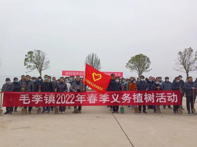 沙洋县毛李镇:开展春季义务植树活动为乡村添新绿