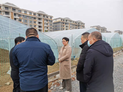 李俊怡到官垱镇、高阳镇调研易地扶贫搬迁安置点后续扶持工作