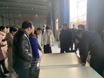  李莉丽调研企业及项目复工复产