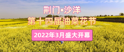 3月，沙洋油菜花海邀你相约！