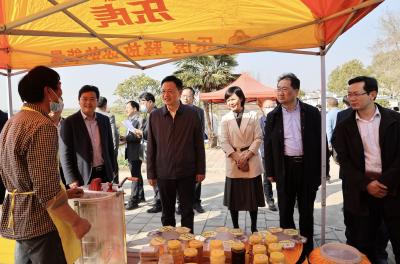王祺扬在沙洋县部分乡镇调研时强调 发挥农业资源优势 建设美丽宜居乡村