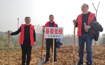 弘扬志愿精神  共建绿色沙洋——县委党校参加义务植树活动