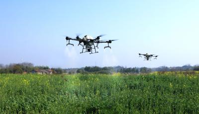 沙洋：科技助春耕 油菜病虫害防治正当时