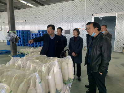 陈威在马良镇开展走基层活动时强调：发展壮大农业产业    助推乡村全面振兴