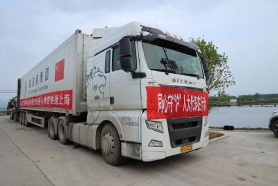 荆门市十届人大代表再捐赠30吨蔬菜   助力抗“疫”守“沪”平安