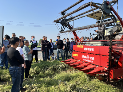 沙洋农机：推广油菜分段收割  保障夏粮颗粒归仓