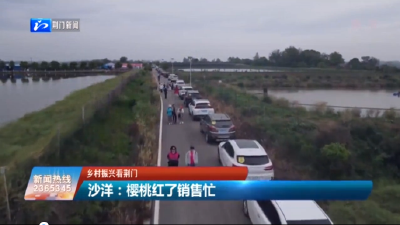 【媒体聚焦】沙洋：樱桃红了销售忙  