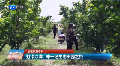 【媒体聚焦】沙洋：打卡沙洋  来一场生态田园之旅