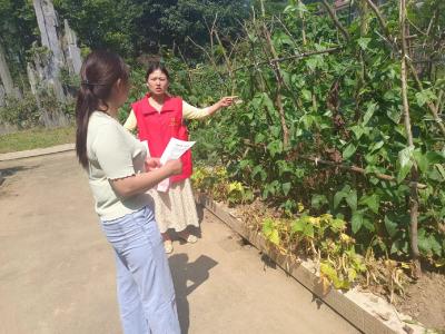 范家台社区：整治毁绿种菜 助力小区环境提升