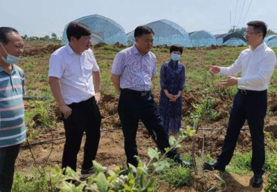 刘振军来沙开展党员干部下基层察民情解民忧暖民心实践活动