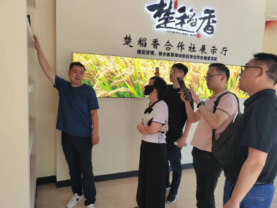 华中农业大学来沙调研“一袋米”校县合作工作