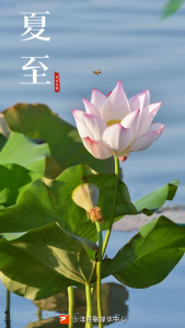 夏至的“至”，是什么“至”？