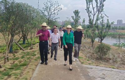 李莉丽带队开展市政 园林项目现场督办活动