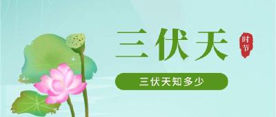 “加长版”三伏来了！这些三伏知识你可知？