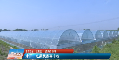 【媒体聚焦】沙洋：瓜果飘香喜丰收 