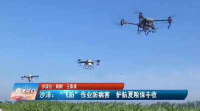 【媒体聚焦】沙洋：“飞防”作业防病害   护航夏粮保丰收