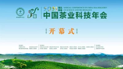 直播： 2021中国茶业科技年会开幕式