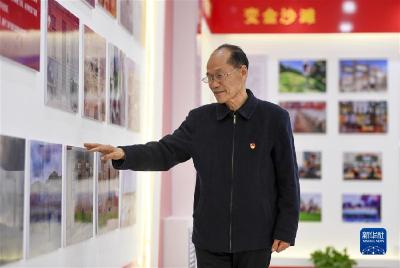 习近平的山海情