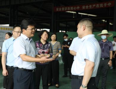 沙洋县开展2022年县人大重点建议县政协重点提案视察督办活动