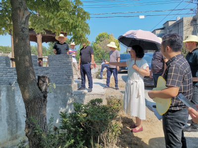 周翠兰带队调研美丽乡村建设工作