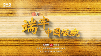 聚焦十年中国粮食安全成就  大型系列纪录片《端牢中国饭碗》开播