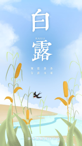 今日白露！最舒适的时节来啦